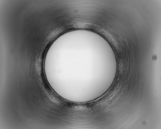 X0000103460586200810031500