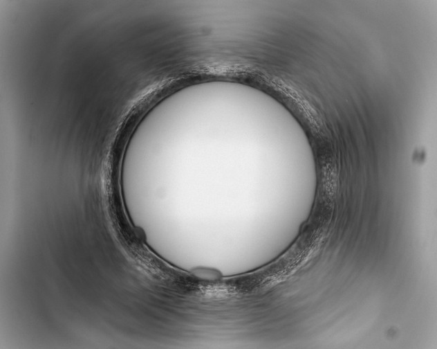 X0000103460587200810031500