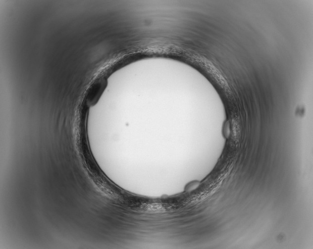 X0000103460588200810031500