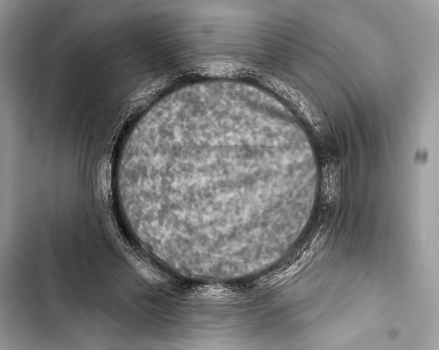 X0000103460589200810031500