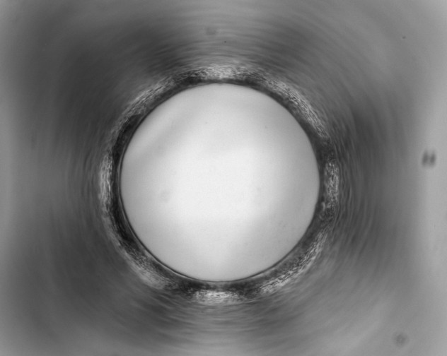 X0000103460590200810031500