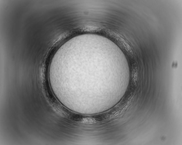 X0000103460591200810031500