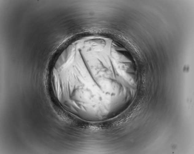 X0000103460592200810031500