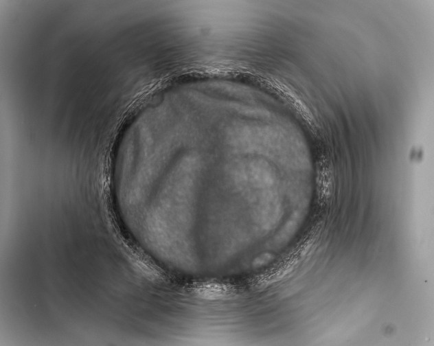 X0000103460593200810031500