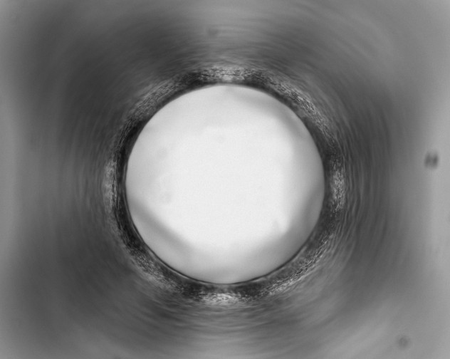 X0000103460594200810031500