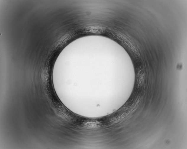 X0000103460595200810031500