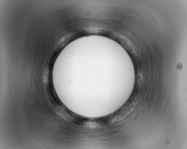 X0000103460596200810031500