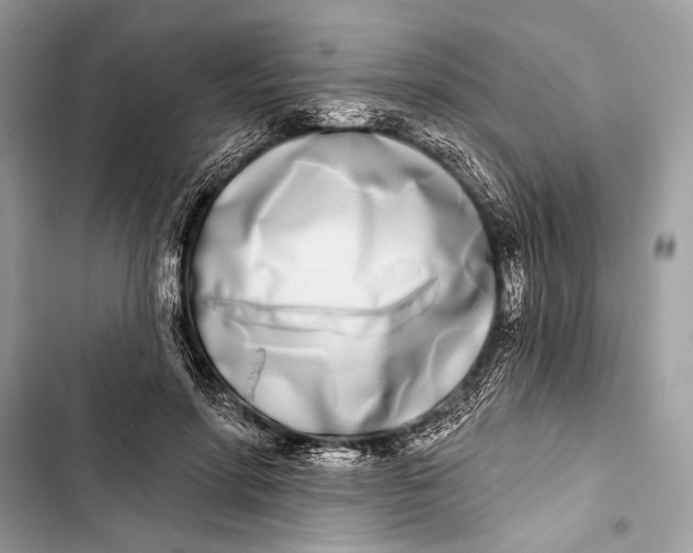 X0000103460598200810031500