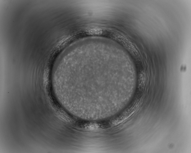 X0000103460600200810031459