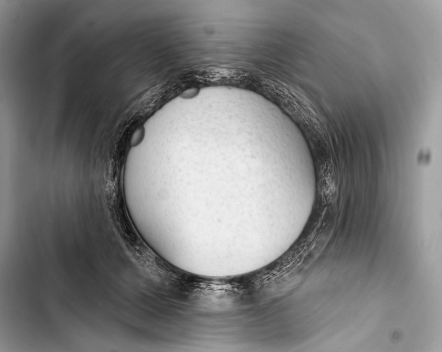 X0000103460607200810031459