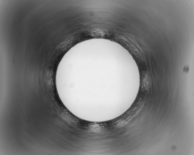 X0000103460616200810031459