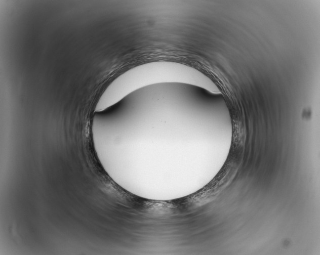 X0000103460621200810031459