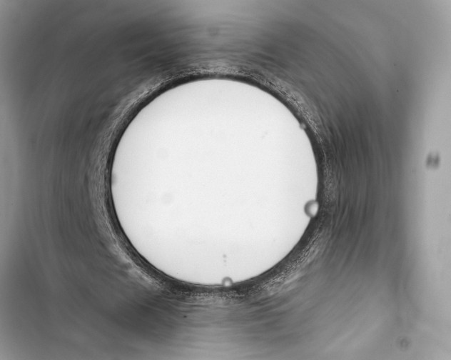 X0000103460625200810031458