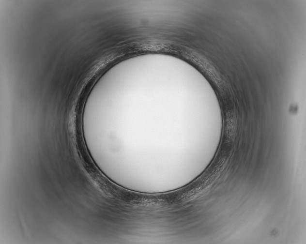 X0000103460626200810031459