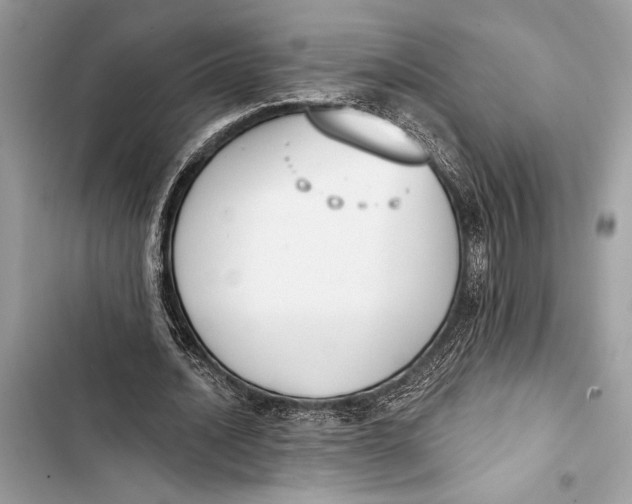 X0000103460628200810031459