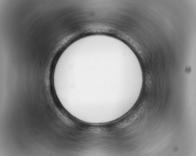 X0000103460629200810031459