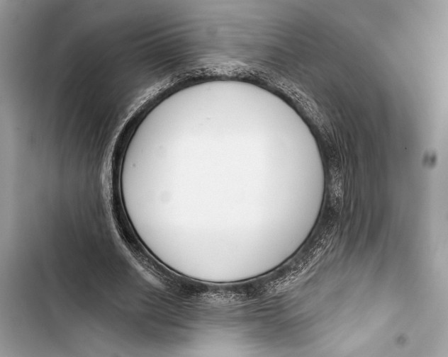 X0000103460630200810031459