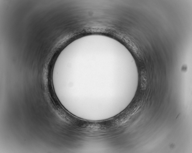 X0000103460631200810031459