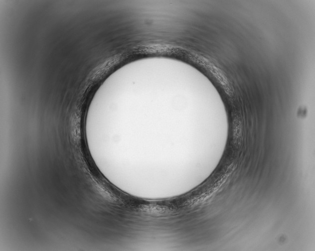 X0000103460633200810031459