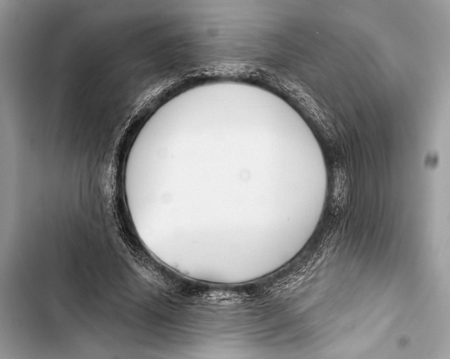 X0000103460636200810031459