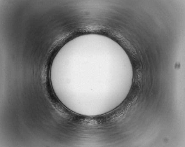 X0000103460640200810031459