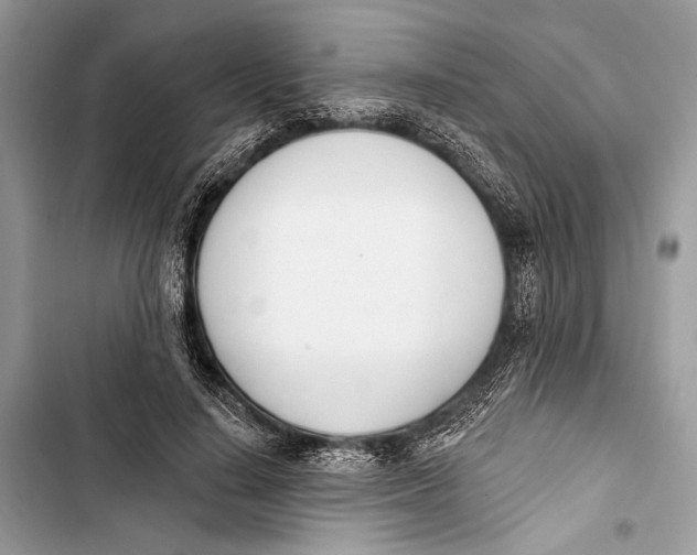 X0000103460644200810031459