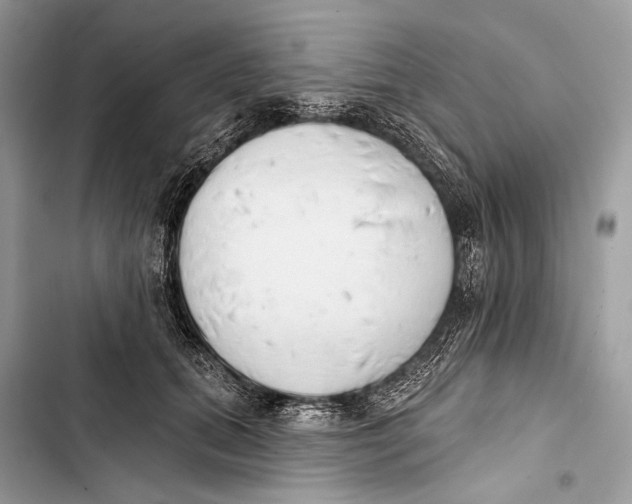 X0000103460655200810031459