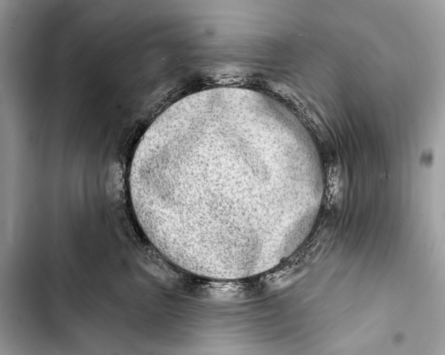 X0000103460667200810031459