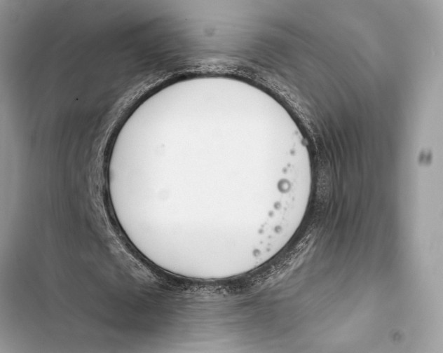 X0000103460673200810031458