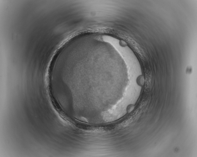 X0000103460674200810031458