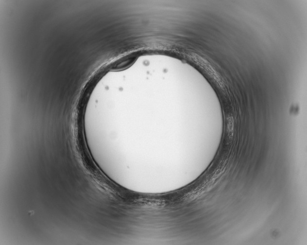 X0000103460676200810031458