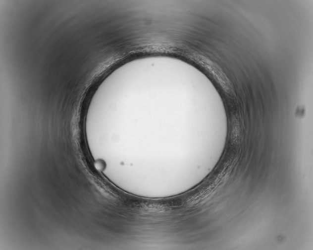 X0000103460677200810031458