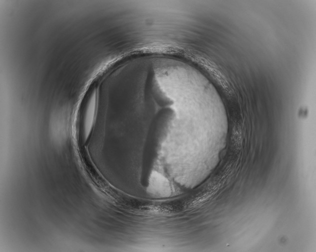 X0000103460678200810031458