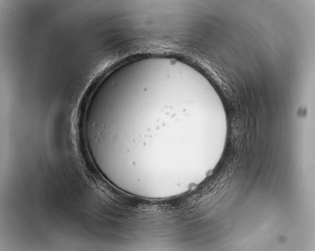 X0000103460679200810031458