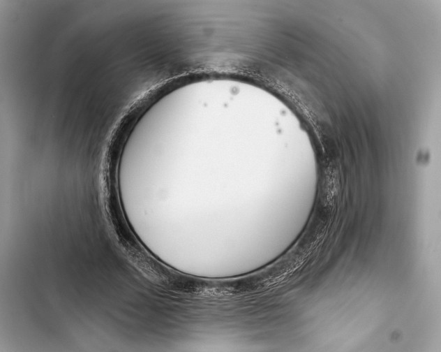 X0000103460680200810031458