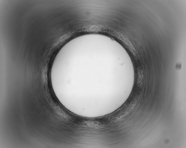 X0000103460681200810031458