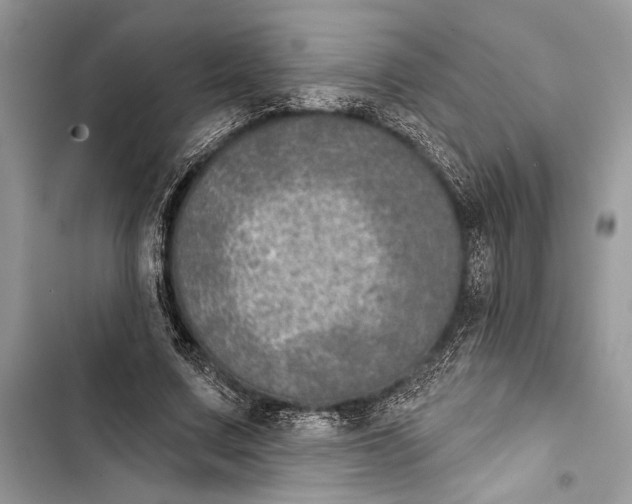 X0000103460683200810031458