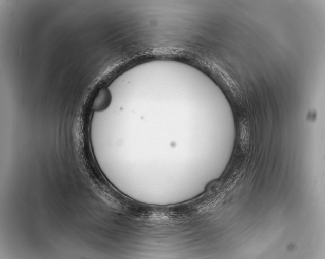 X0000103460684200810031458