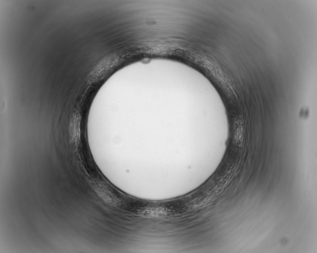 X0000103460685200810031458