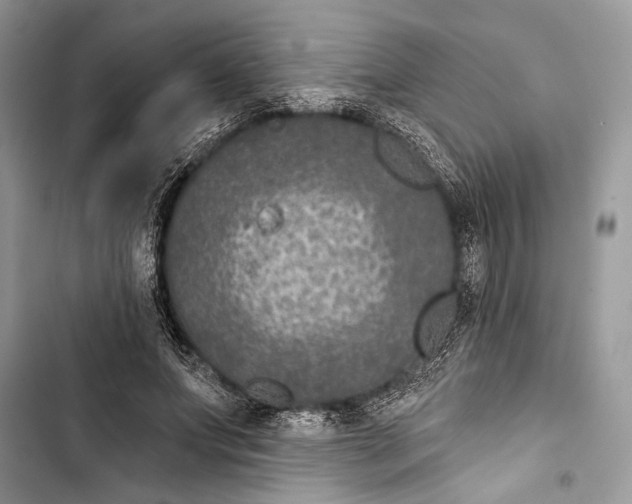 X0000103460687200810031458