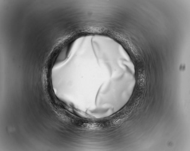 X0000103460688200810031458