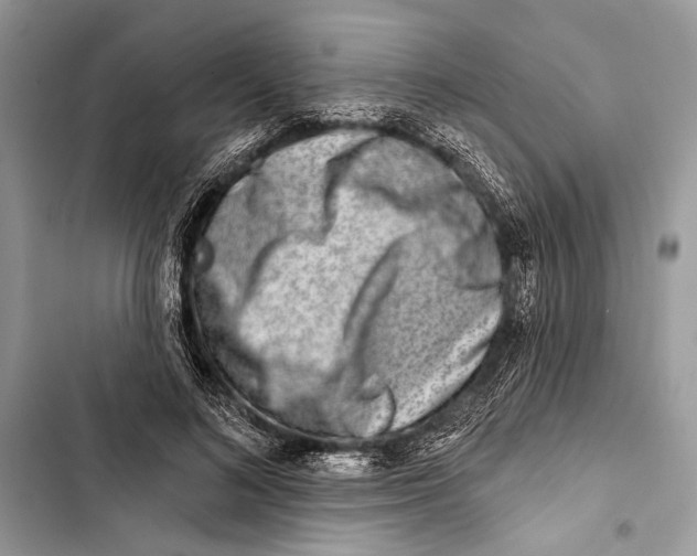 X0000103460692200810031458