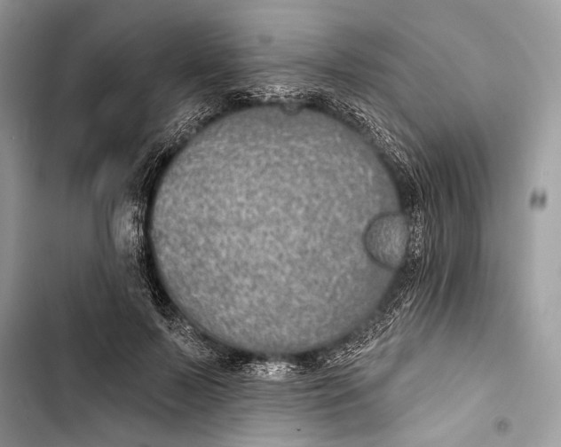 X0000103460695200810031458