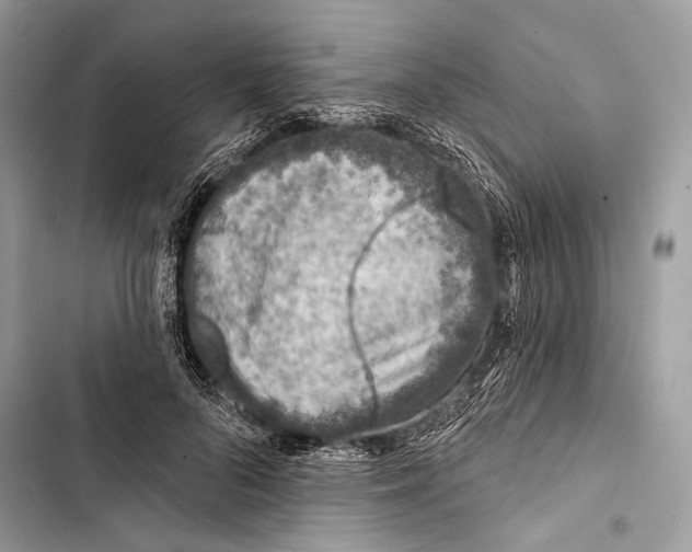 X0000103460696200810031458