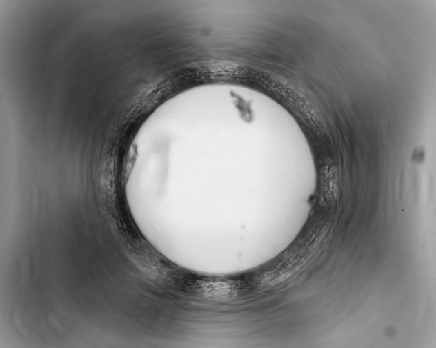 X0000103460698200810031458