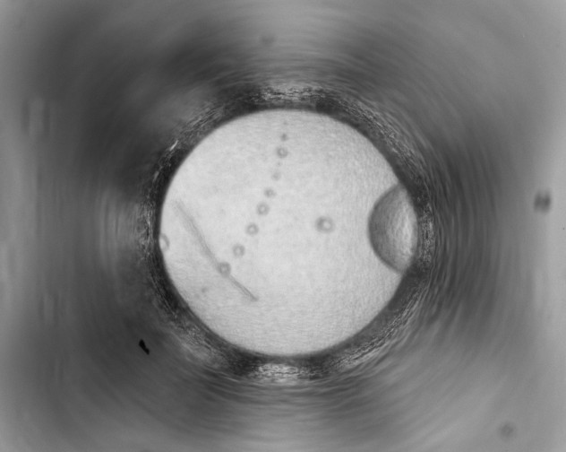 X0000103460699200810031458