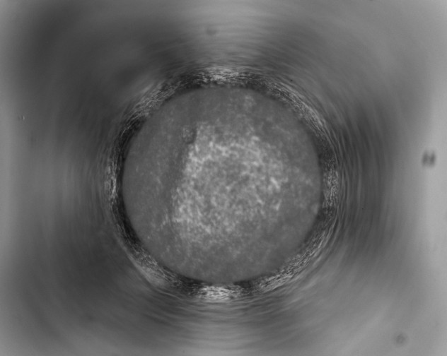 X0000103460703200810031458