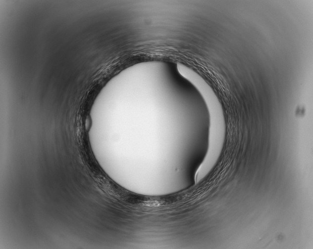 X0000103460704200810031458