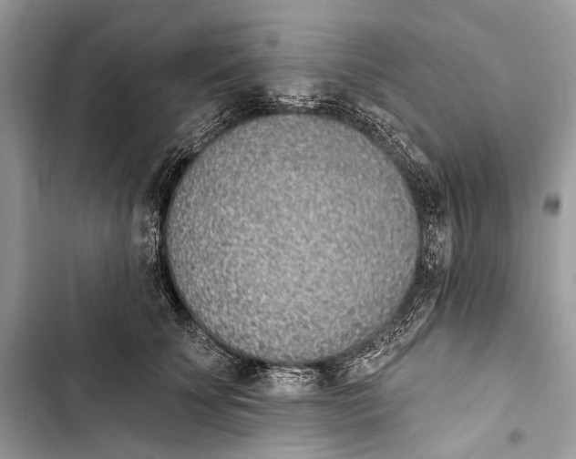 X0000103460707200810031458