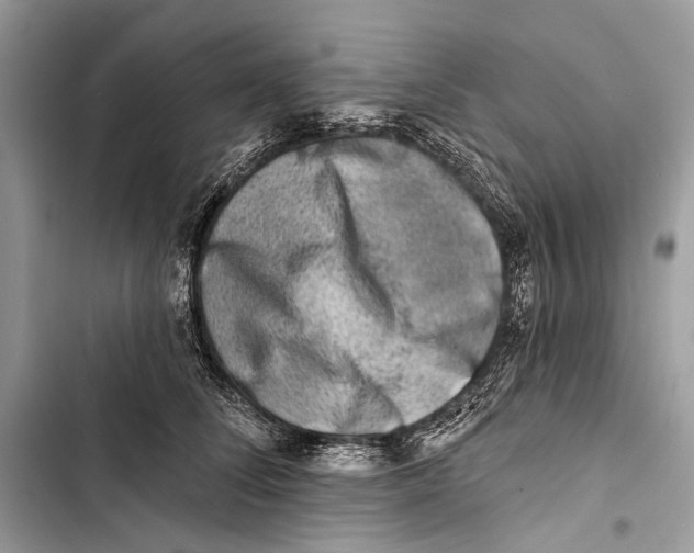 X0000103460708200810031458